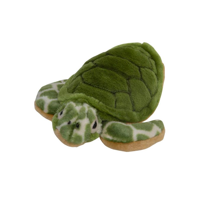 Sea Turtle
