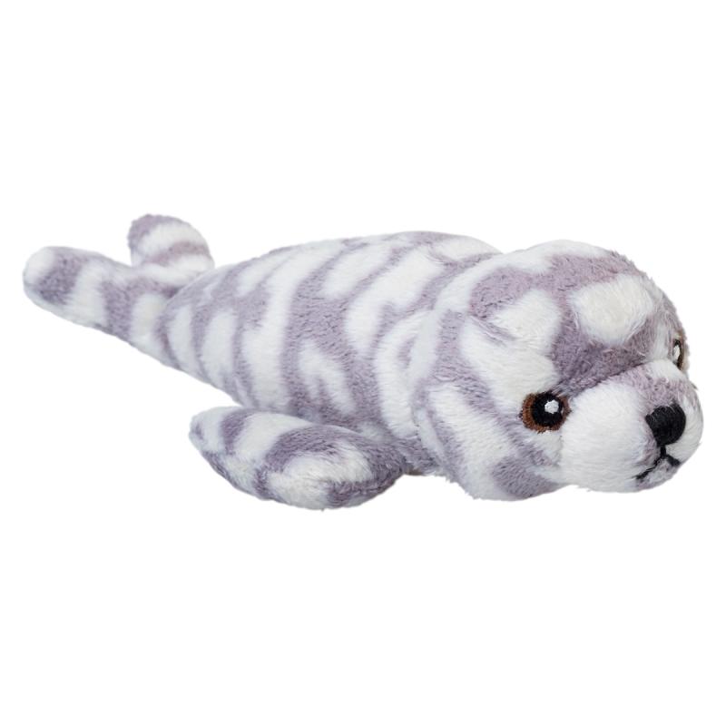 Wild Beans Spotted Seal