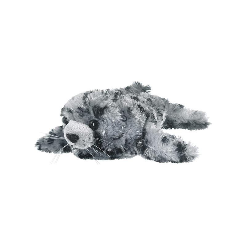 Harbor Seal Pup