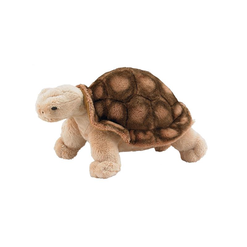 Tortoise