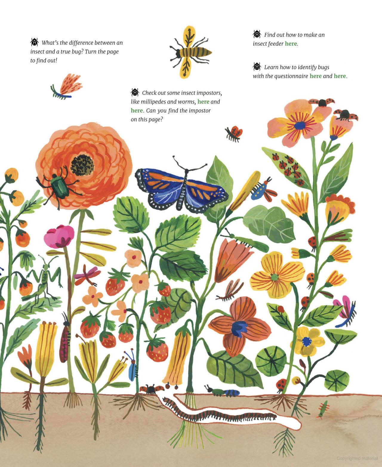 Nature All Around: Bugs