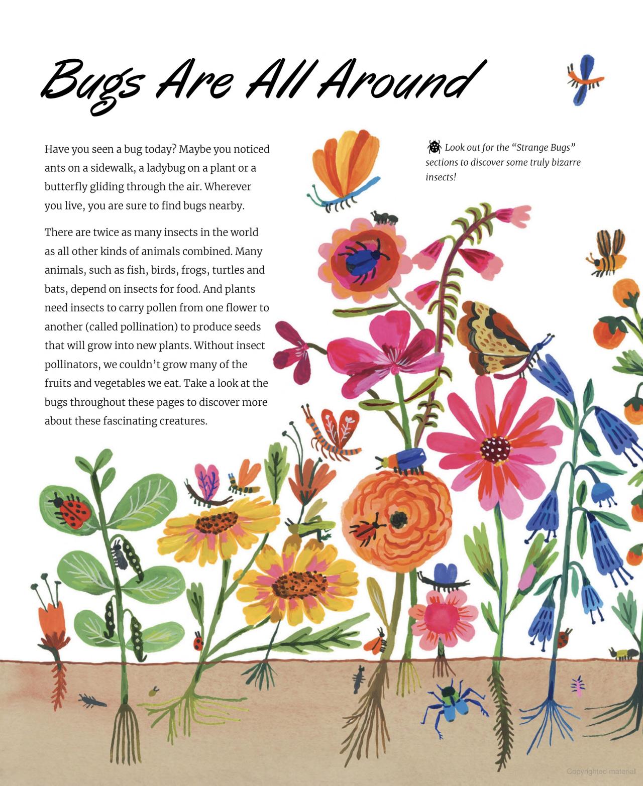 Nature All Around: Bugs