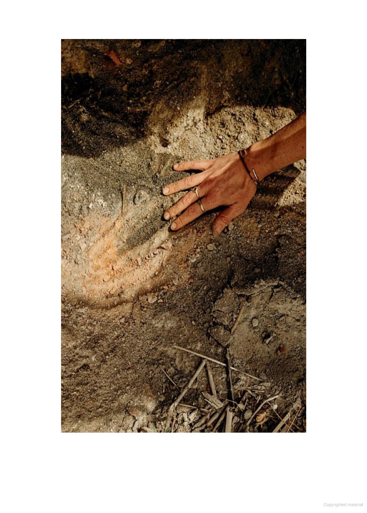 Book of Earth: A Guide to Ochre, Pigment, and Raw Color