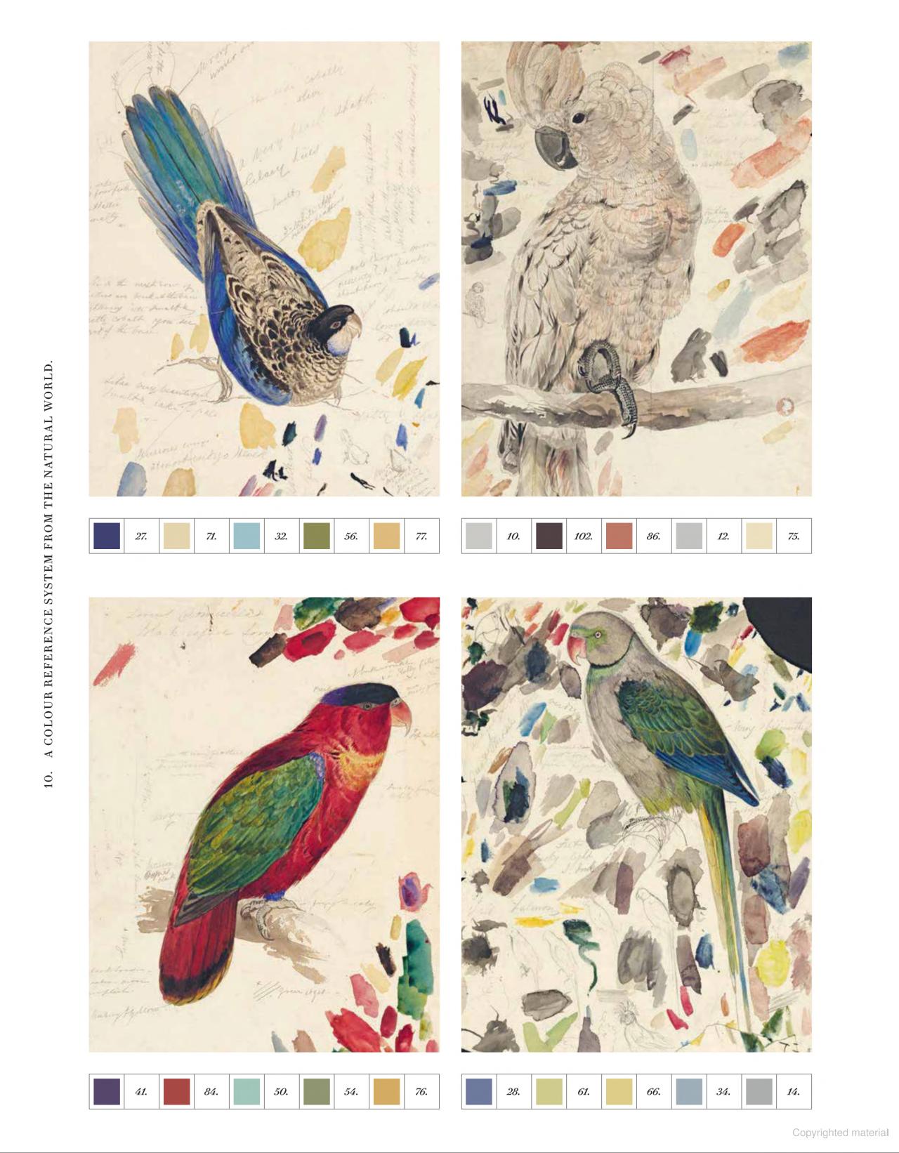 Nature's Palette: A Color Reference System from the Natural World