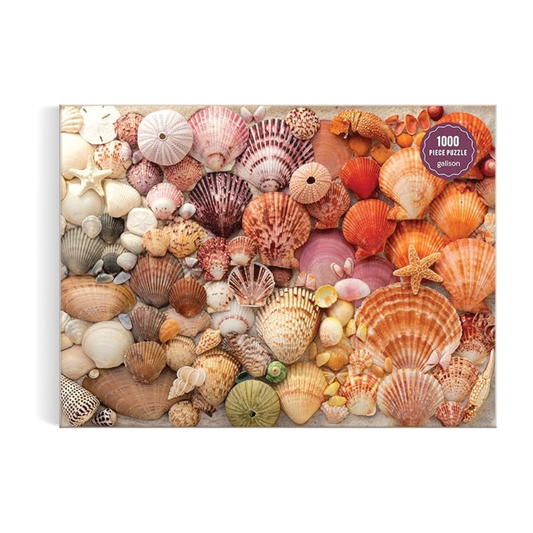 Vibrant Seashells Puzzle, 1000 Pieces