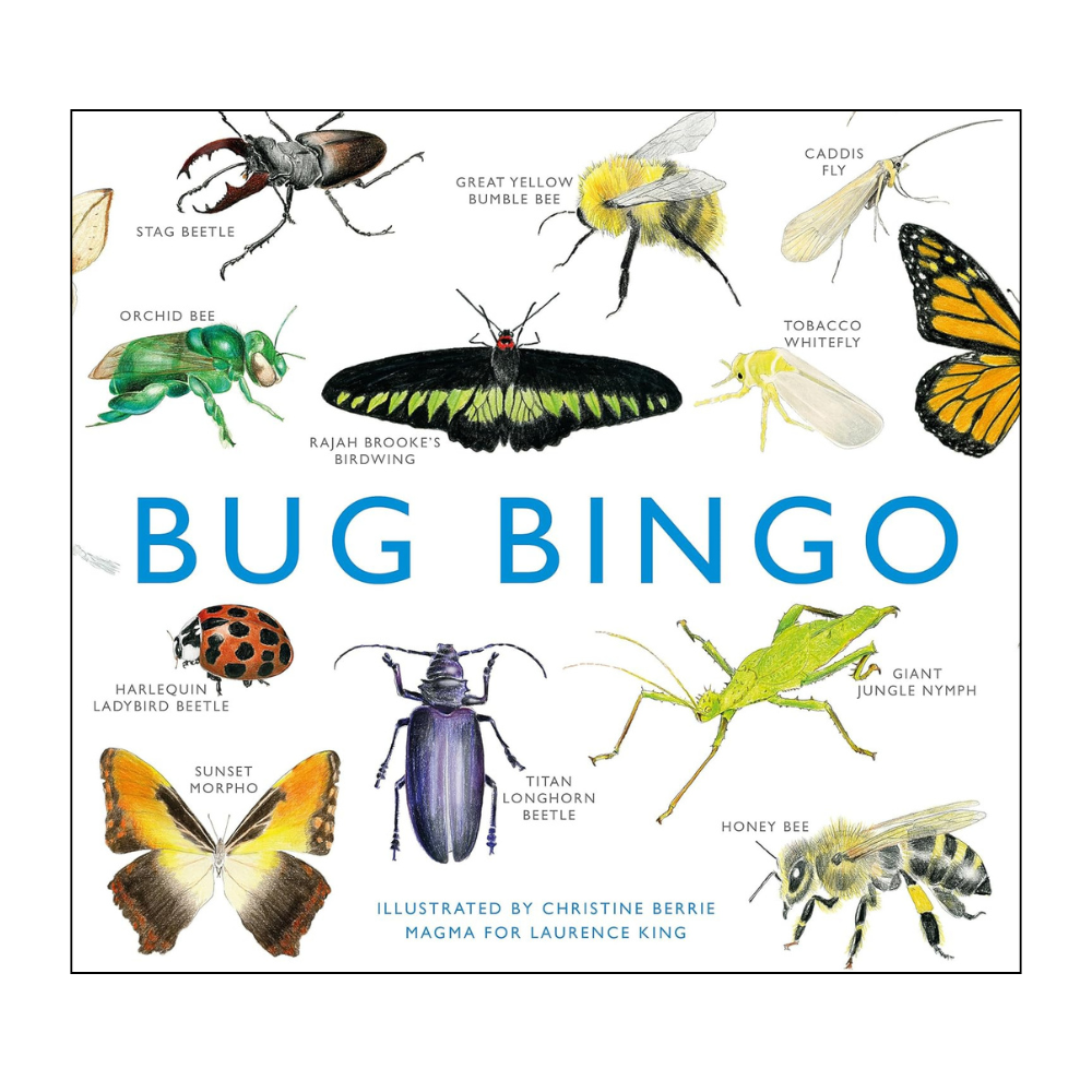 Nature Bingo