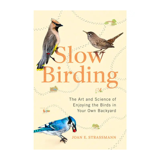 Slow Birding