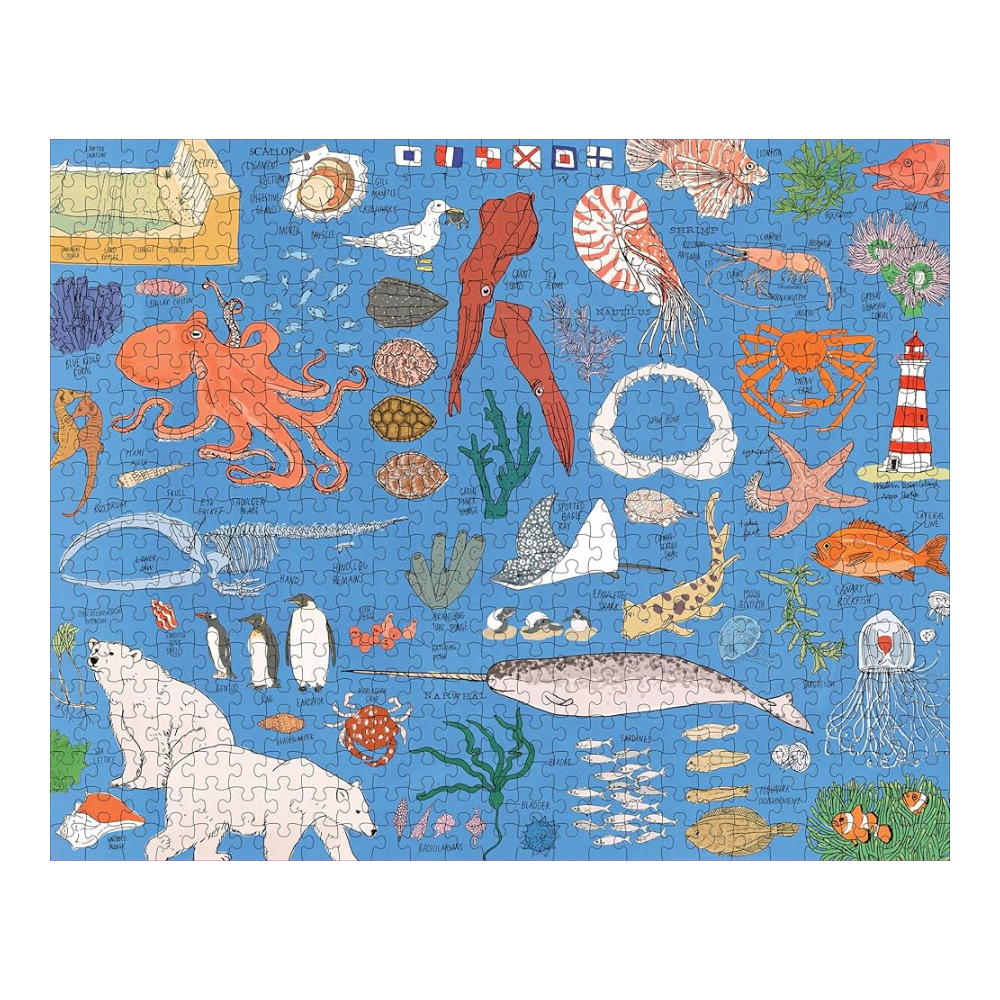 Ocean Anatomy 500 Piece Puzzle