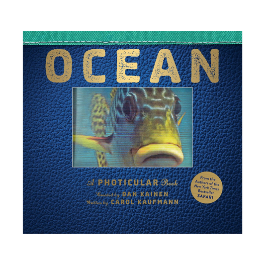 Ocean: A Photicular Book