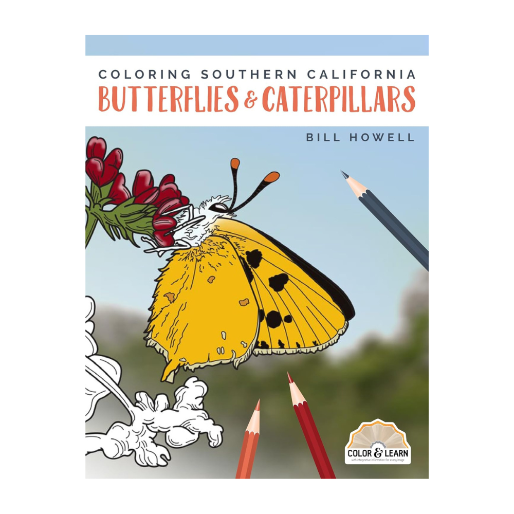 Coloring Southern California Butterflies and Caterpillars