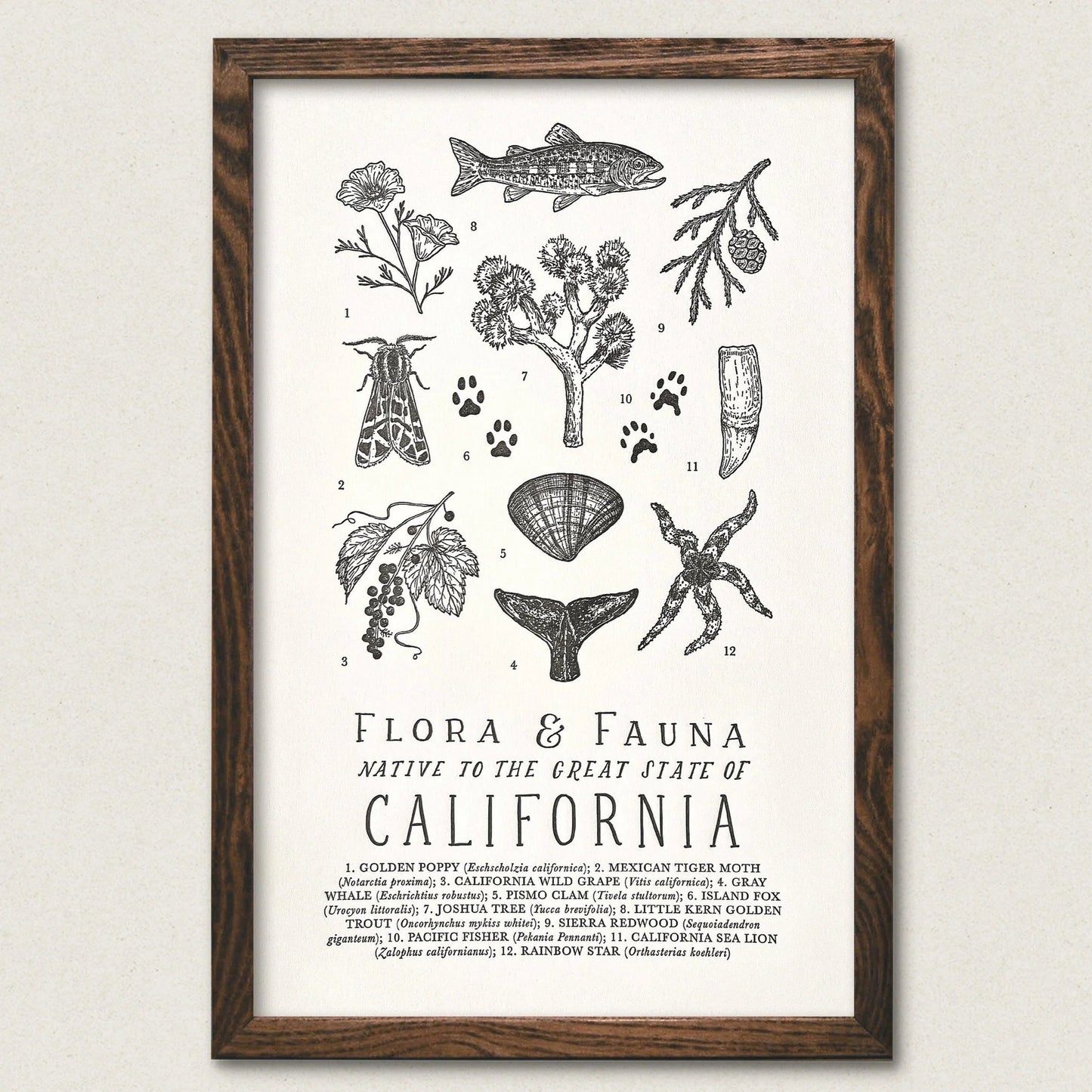 California Field Guide Art Print