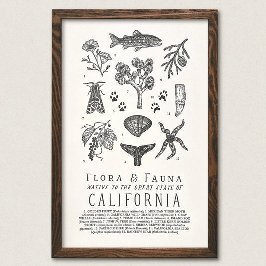 California Field Guide Art Print