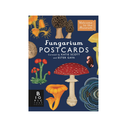 Fungarium Postcard Box Set