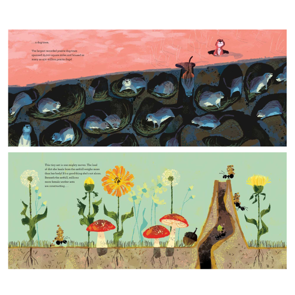 Animal Architects