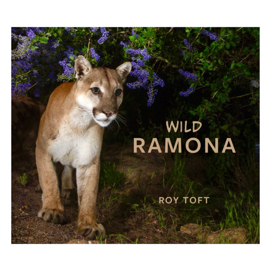 Wild Ramona