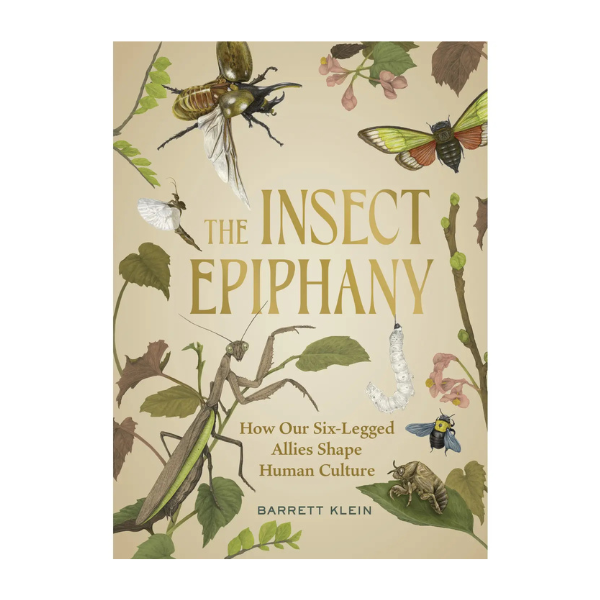 The Insect Epiphany