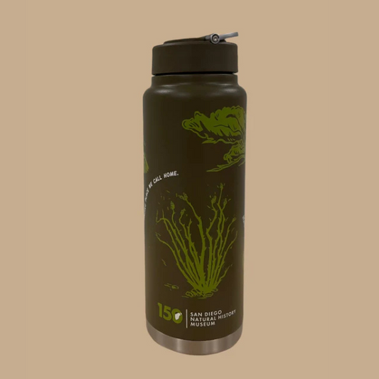 NAT Water Bottle