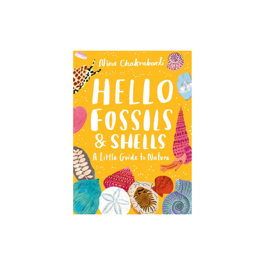 Hello Fossils and Shells