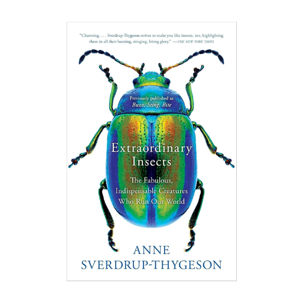 Extraordinary Insects