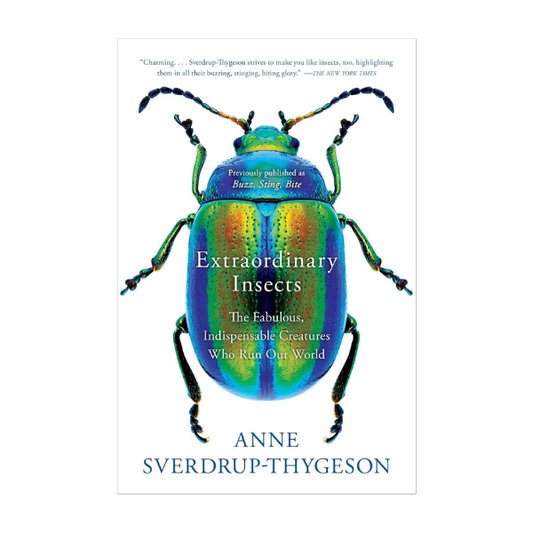 Extraordinary Insects
