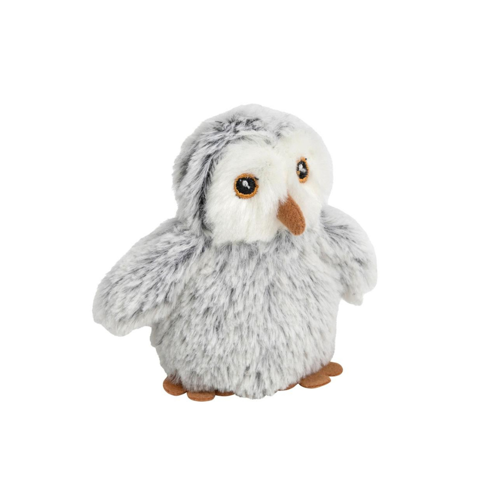 Wild Beans Snowy Owl