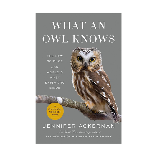 What an Owl Knows