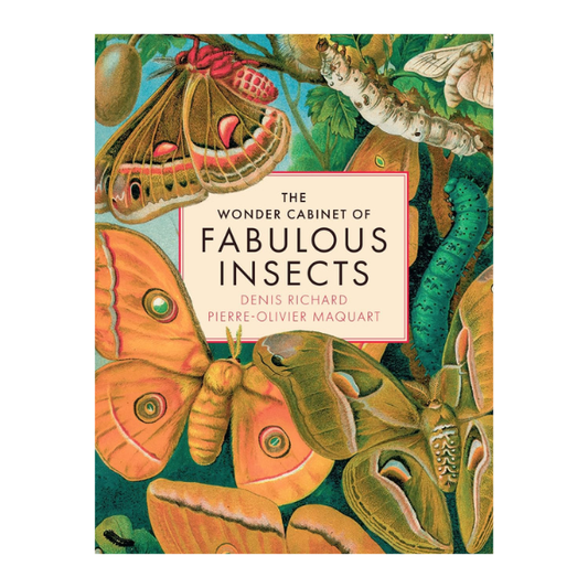 The Wonder Cabinet of Fabulous Insects