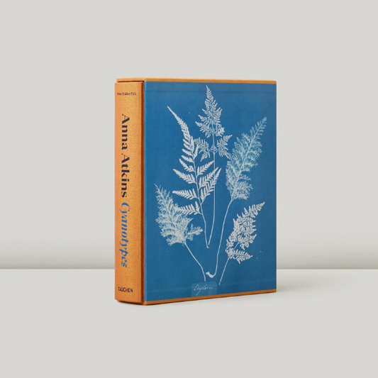 Anna Atkins Cyanotypes