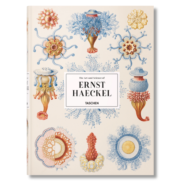 The Art & Science of Ernst Haeckel