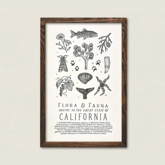 California Field Guide Art Print