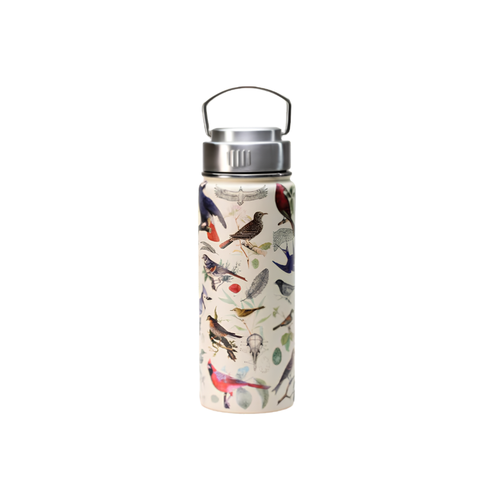 Steel Bottle
