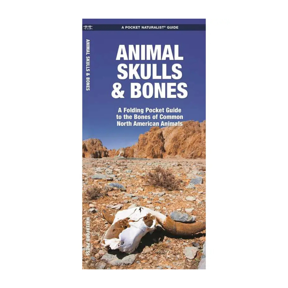 Animal Skulls & Bones Pocket Guide