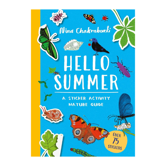 Hello Summer Sticker Activity Book