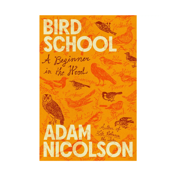 Bird School: A Beginner in the Wood