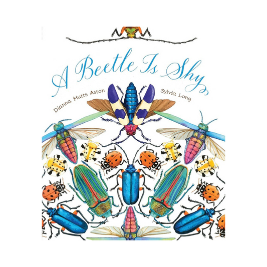 A Beetle is Shy