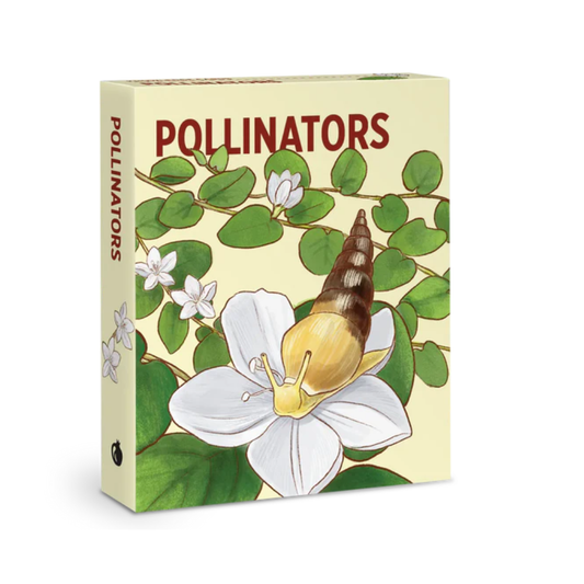 Pollinators Knowledge Cards