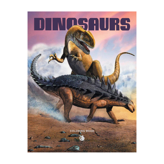 Dinosaurs Coloring Book