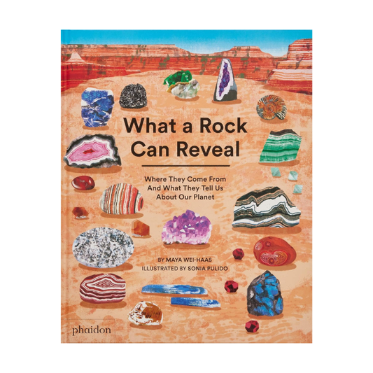 What a Rock Can Reveal