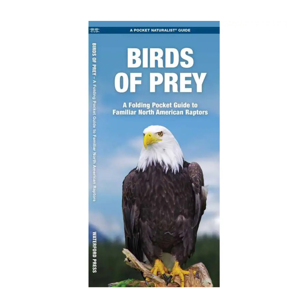 Birds of Prey Pocket Guide