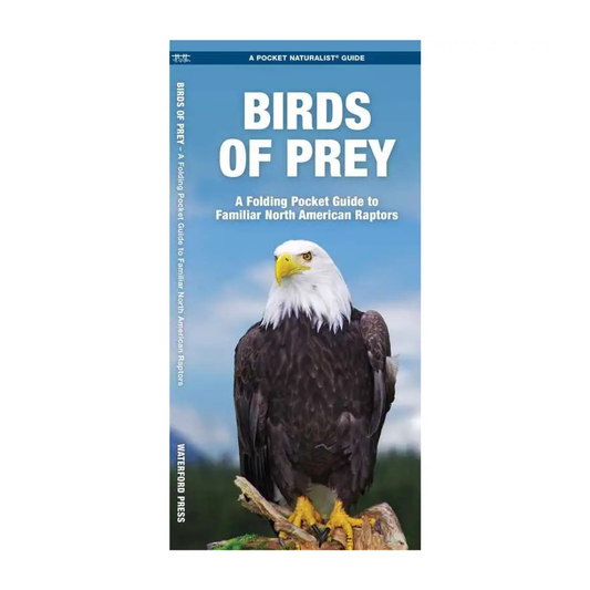 Birds of Prey Pocket Guide