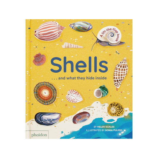 Shells... and what they hide inside