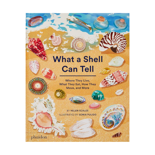 What A Shell Can Tell