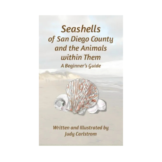 Seashells of San Diego County and the Animals within Them