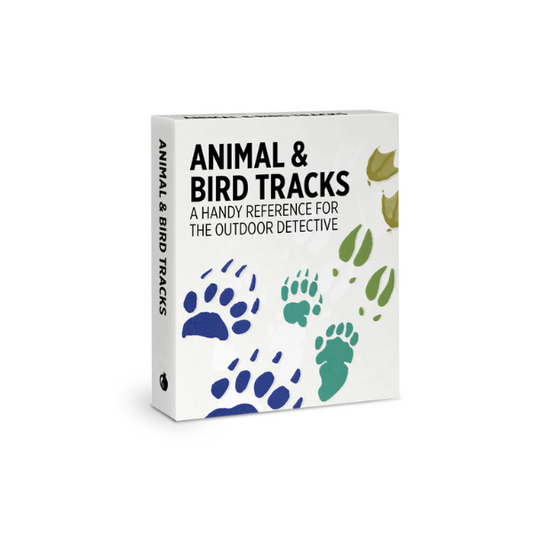 Animal & Bird Tracks: A Handy Reference for the Outdoor Detective Knowledge Cards