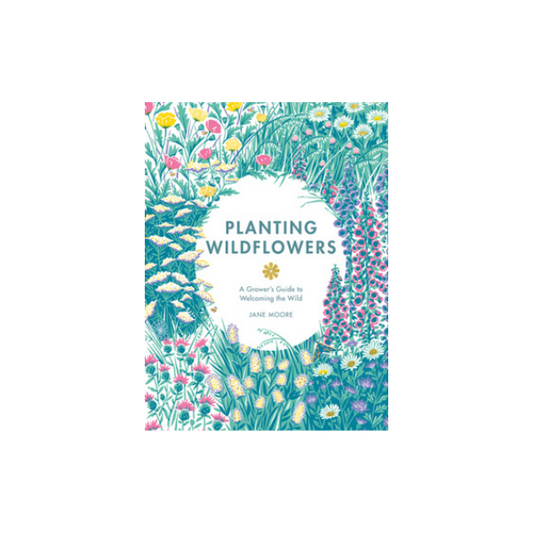 Planting Wildflowers