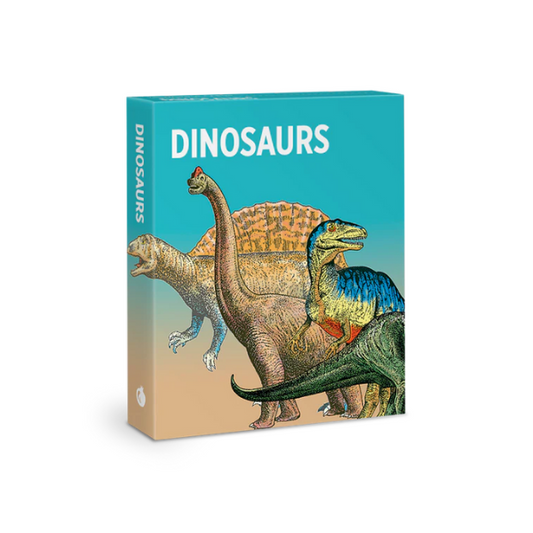 Dinosaurs Knowledge Cards
