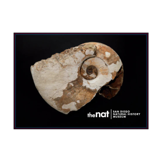 Nat Collections Postcards