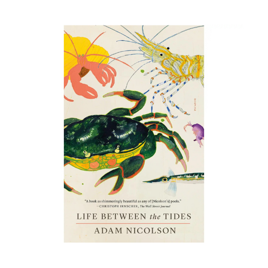 Life Between the Tides