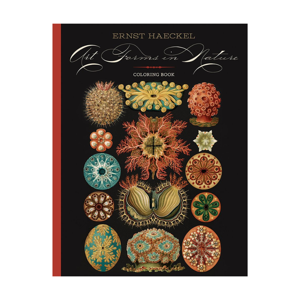 Ernst Haeckel: Art Forms in Nature Coloring Book