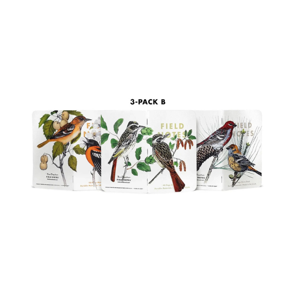 3-Pack Memo Notebooks, Birds and Trees of North America